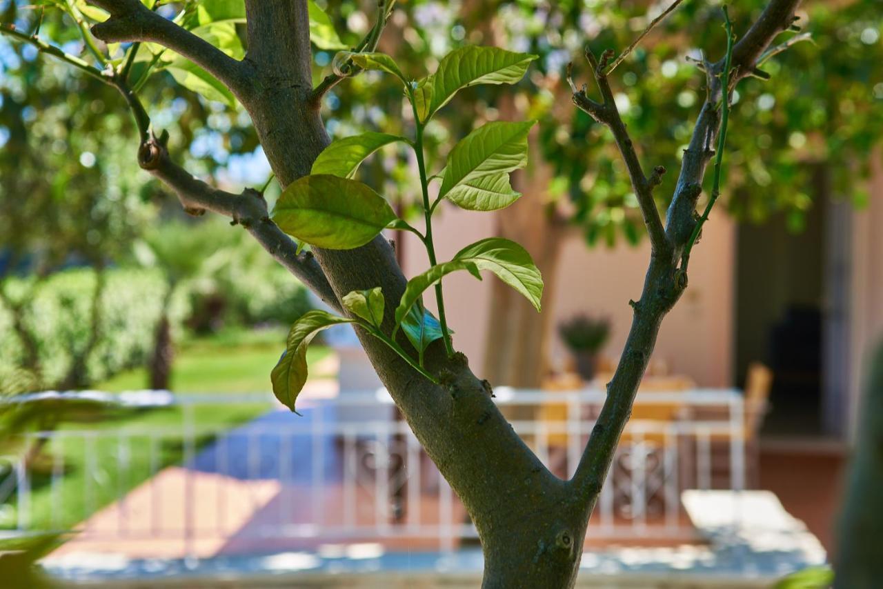 Villa Moma Palio Gerani Extérieur photo